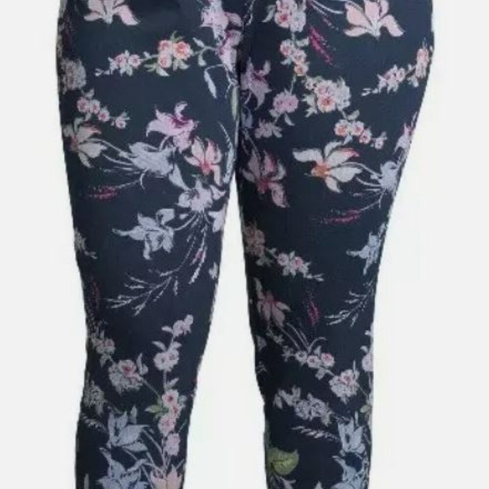 Terra & Sky women's jeggings in a beautiful blue cove floral pattern size 2X